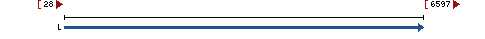 Genomic Context describing neighboring genes