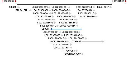 Genomic Context describing neighboring genes