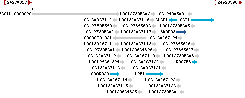 Genomic Context describing neighboring genes