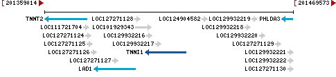 Genomic Context describing neighboring genes