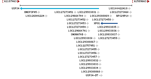 Genomic Context describing neighboring genes