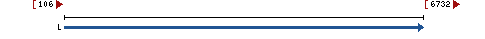 Genomic Context describing neighboring genes