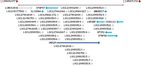 Genomic Context describing neighboring genes