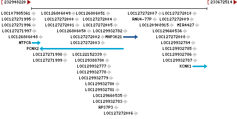 Genomic Context describing neighboring genes