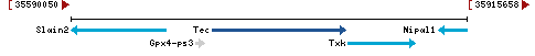 Genomic Context describing neighboring genes