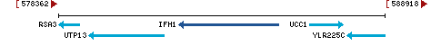 Genomic Context describing neighboring genes