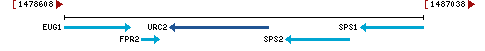 Genomic Context describing neighboring genes