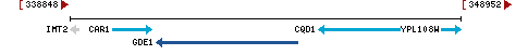 Genomic Context describing neighboring genes