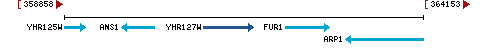 Genomic Context describing neighboring genes