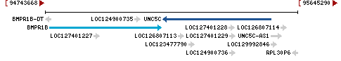 Genomic Context describing neighboring genes