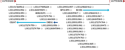 Genomic Context describing neighboring genes