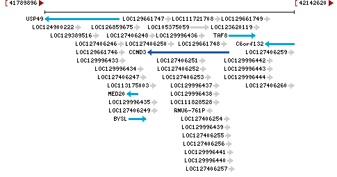 Genomic Context describing neighboring genes