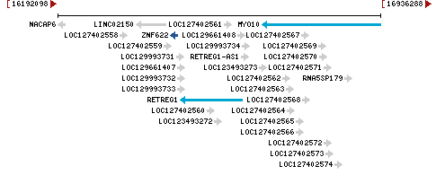 Genomic Context describing neighboring genes