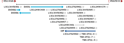 Genomic Context describing neighboring genes