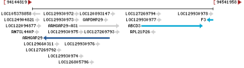 Genomic Context describing neighboring genes