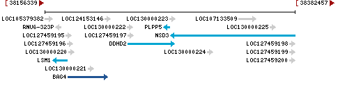 Genomic Context describing neighboring genes