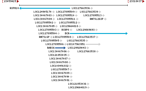 Genomic Context describing neighboring genes