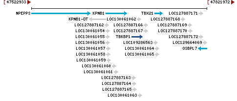 Genomic Context describing neighboring genes