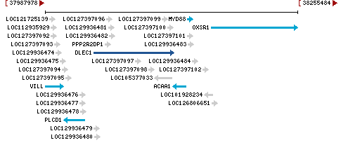 Genomic Context describing neighboring genes