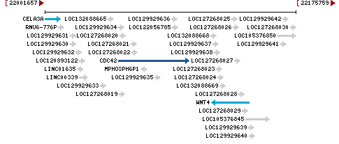 Genomic Context describing neighboring genes